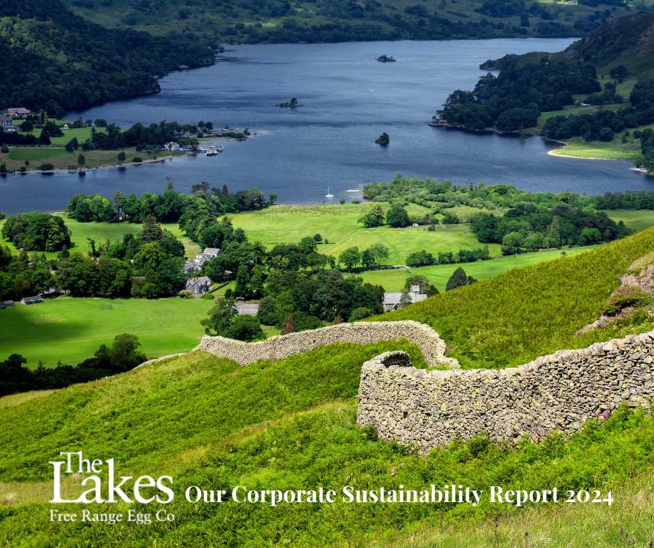 洋書 Corporate Report 2020 Industrial sectors in the face of descarbonization and taxonomy